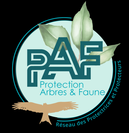 Association